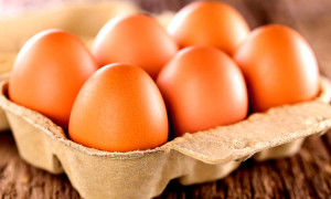 Allerta salmonella in Sardegna: il Ministero della Salute richiama le uova "San Pietro"