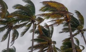 Sardegna travolta dal ciclone artico: maestrale, neve e danni, maltempo in tutta Italia