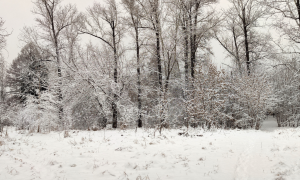 Temperature invernali, la Sardegna batte i denti: neve sul Gennargentu