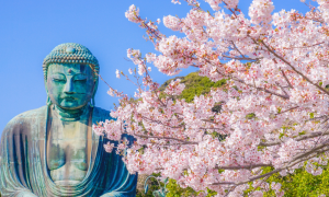 Fioriture in Europa: dove vedere i fiori pi&ugrave; belli in primavera