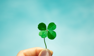 Perch&eacute; il quadrifoglio &egrave; considerato portafortuna?