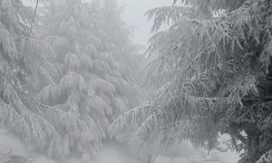 Pasqua in Sardegna: l'Isola si spacca in due tra l'ultimo sci e i primi tuffi