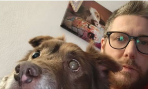 Arezzo, gli fa cenno di rallentare e lui gli investe il cane