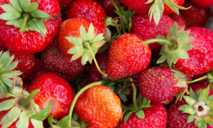 Fragole sempre pi&ugrave; care: il vero prezzo della primavera