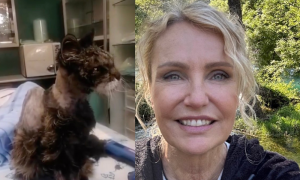 Addio a Gattina, la micina salvata da Licia Col&ograve;: una storia di amore tra Roma e Oristano