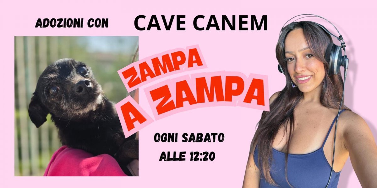 É SEMPRE SABATO