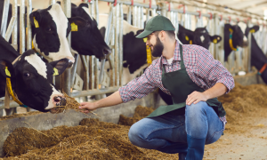 Coldiretti Sardegna, appello alle istruzioni: &ldquo;Gli allevatori non devono essere lasciati soli&ldquo;