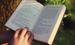 Giornata mondiale del libro: storia, significato e tradizioni di una celebrazione globale