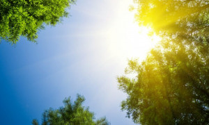 Meteo, weekend dal sapore estivo: l'anticiclone scalda l'Italia, punte di 27 gradi in Sardegna