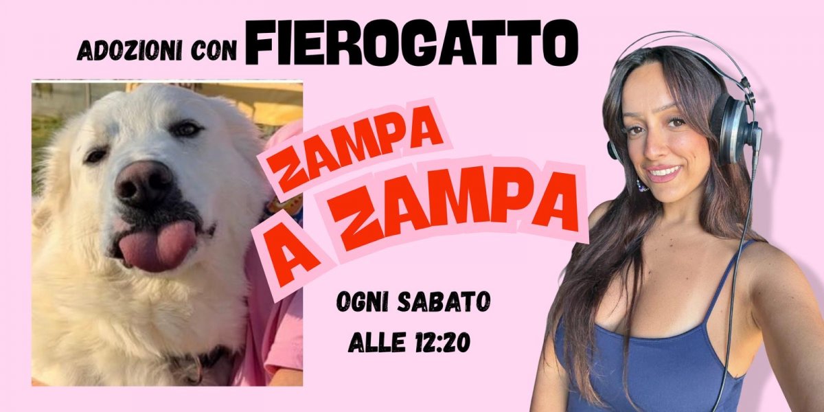 É SEMPRE SABATO