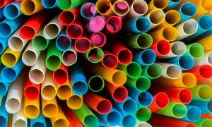 Singapore, studente francese rischia il carcere per un video virale dove lecca una cannuccia