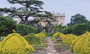 Carlo III cerca una figura esperta in comunicazione