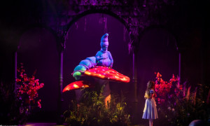 Alice nel Paese delle Meraviglie, il musical