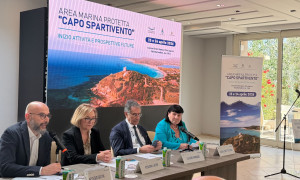 Capo Spartivento entra nel vivo: la nuova Area Marina Protetta tra tutela, governance e sviluppo