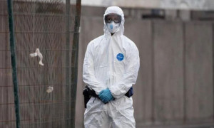 Hantavirus, il Ministero della Salute vara la circolare: vigilanza attiva, nessun allarme pandemia