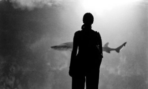 Mostra fotografica all&rsquo;Acquario di Cala Gonone