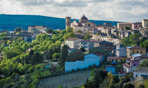 Tragedia nelle campagne di Nurri: muore bimbo di tre anni travolto da un trattore