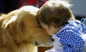 Il Sindaco di San Giorgio sul Legnano: chiede a chi ha animali e non figli di donare 20 euro