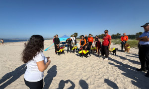 Zampe Quartesi Beach: inaugurata la nuova spiaggia per cani al Margine Rosso