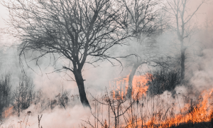 Sardegna, allerta gialla per rischio incendi: rischio medio nel Cagliaritano e nella costa orientale