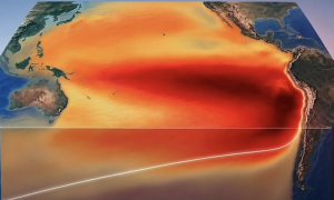 El Ni&ntilde;o &egrave; ufficialmente tornato: gli esperti temono un nuovo picco del caldo globale