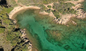Scudo per Cala Finanza: quasi 80mila firme contro il resort di lusso, Todde e il Comune fanno muro