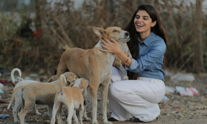 Turisti e cani randagi, i volontari: &ldquo;In Sardegna non sempre salvarli significa portarli via&rdquo;