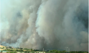 Maxi incendio tra la 554 e la Statale 387, in azione Canadair ed elicotteri: traffico bloccato