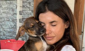Elisabetta Canalis torna al canile Lida di Olbia: &laquo;Qui si trova un vero compagno di vita&raquo;