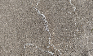 Microplastica al Poetto, interrogazione urgente in Consiglio comunale
