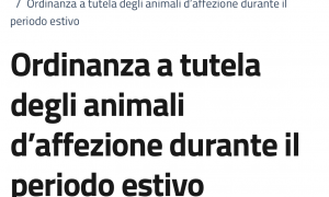 Caldo estremo, a Norbello scatta l'ordinanza per proteggere gli animali