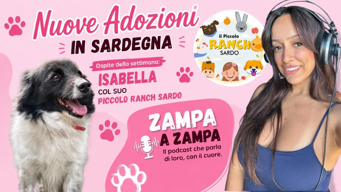 É SEMPRE SABATO