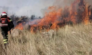 Noragugume in ginocchio dopo il maxi incendio: oltre mille ettari distrutti e aziende agricole
