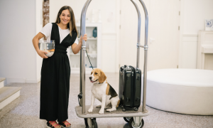 Zampe in viaggio, le migliori mete pet-friendly per una vacanza con il tuo cane