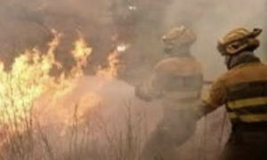 Incendi devastanti tra Francia e Spagna: oltre 200.000 evacuati, emergenza nel sud-ovest europeo