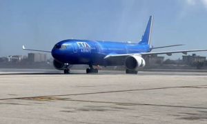 Ita Airways apre ai cani di taglia medio-grande in cabina: al via il nuovo servizio dal 3 agosto