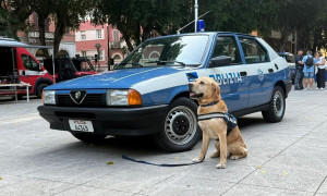 Addio ad Aaron, il cane poliziotto che per dieci anni ha protetto la Sardegna