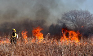 Incendi Sardegna, gi&agrave; in fumo quasi 9.500 ettari: il 2026 supera la media degli ultimi dodici anni