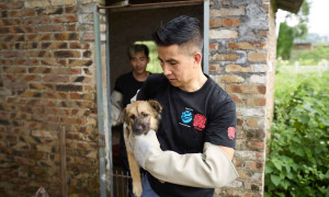 Caldo record in Corea del Nord, torna l&rsquo;antico &ldquo;rimedio&rdquo; contro l&rsquo;afa: la zuppa di carne di cane