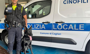 Polizia Locale, arriva la nuova unit&agrave; cinofila: Victor al servizio della citt&agrave; di Cagliari