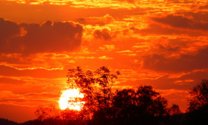 Meteo, Sardegna nella morsa del caldo: da mercoled&igrave; temperature oltre i 40 gradi