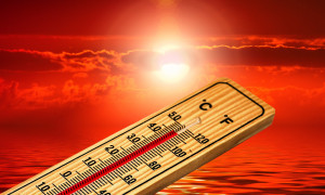 Sardegna nella morsa del caldo: nel Nuorese sfiorati i 46 gradi