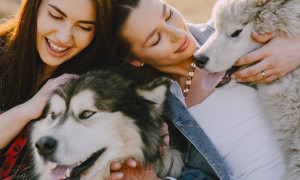 Alghero apre lo sportello &ldquo;Amici degli Animali&rdquo;