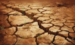 El Ni&ntilde;o, l&rsquo;allarme dell&rsquo;Onu: "Il pianeta entra nella zona di pericolo del clima estremo"