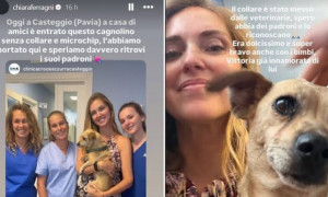 Chiara Ferragni trova un cagnolino senza microchip e lancia l&rsquo;appello