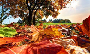 Arriva l&rsquo;autunno: il 23 settembre l&rsquo;equinozio, ecco a che ora finisce l&rsquo;estate