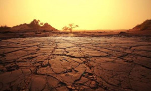 El Ni&ntilde;o &ldquo;a livello Godzilla&rdquo;: &laquo;Causer&agrave; catastrofi imprevedibili in tutto il mondo&raquo;